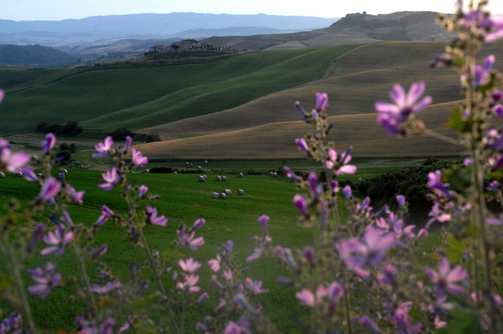 Agrihotel Il Palagetto Volterra